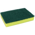 Cleanmax Sponge Scourer Green — 100 x 150mm