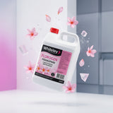 Florogen Concentrated Deodoriser Frangipani 5L Each